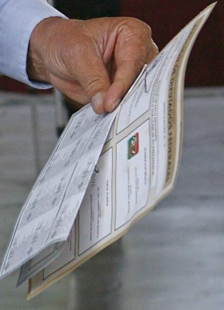 voto fox.JPG